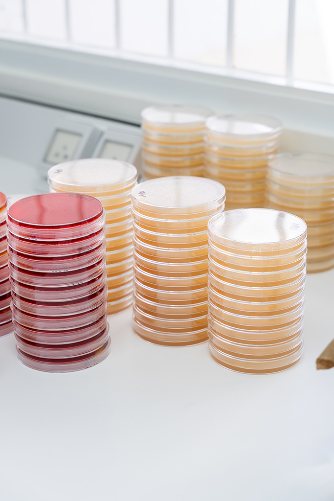 Laboratorios Brolab - Análisis de Peligros y Puntos Críticos de Control