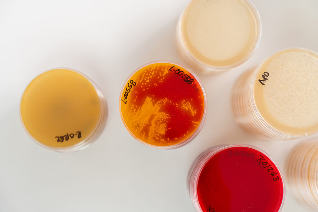 Laboratorios Brolab - Análisis de Peligros y Puntos Críticos de Control